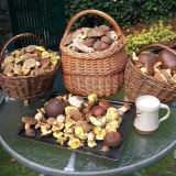 Da li je potrebno očistiti ulje od filma (oguliti): zašto pucati, o...